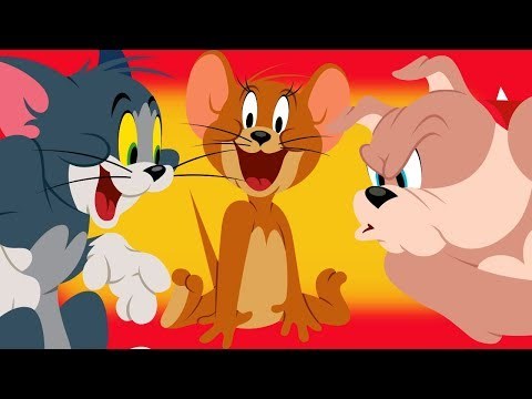 Tom and jerry 14